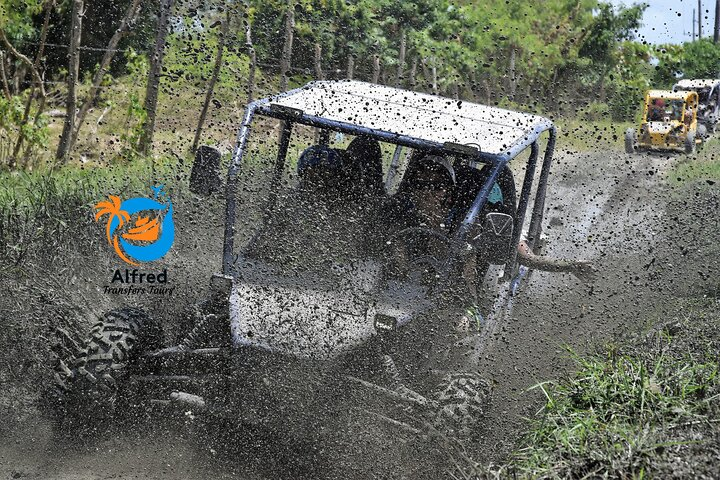 Private Buggy Tour in Puerto Plata - Photo 1 of 25